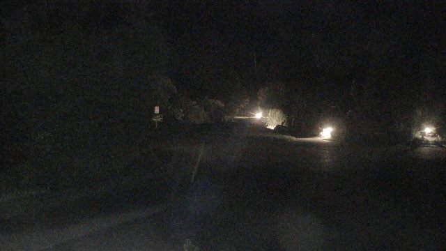 Tofino Crystal Cove Shoreline