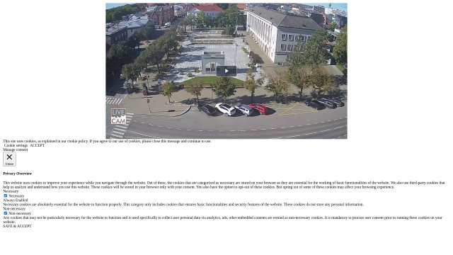 Pärnu Central Square Buzz