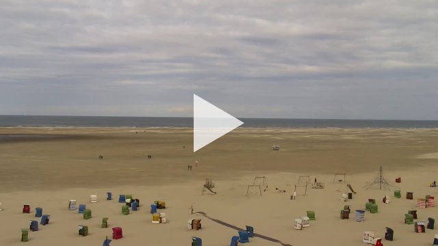 Borkum Seal Shoreline