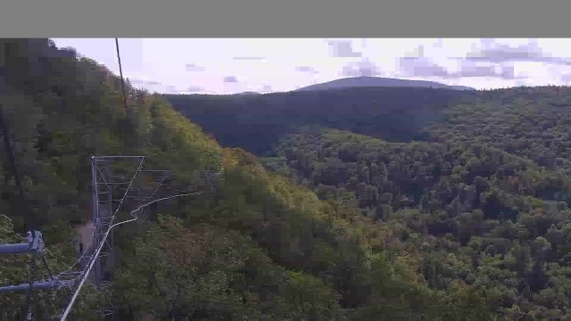 Bad Harzburg Treetop Monorail View