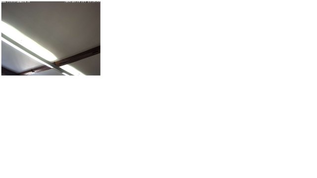 Feuchtwangen Stork Nest, Germany