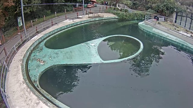 Budapest Zoo Seal Enclosure View