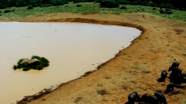 Aberdare National Park Wilderness
