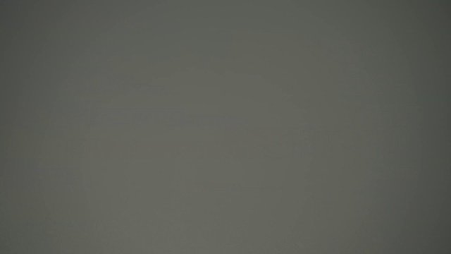 Lakhta Center City Panorama