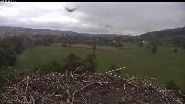 Lindheim Stork Nest, Germany