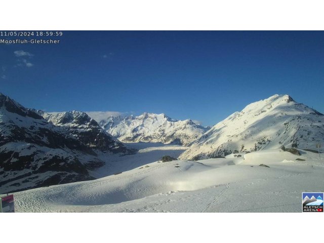 Moosfluh Summit Panorama Bettmeralp