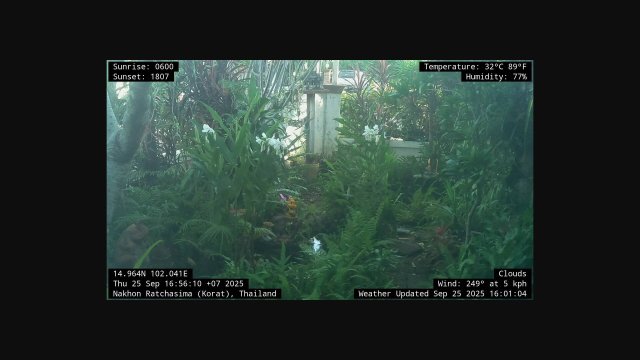 Nakhon Ratchasima City Center Buzz