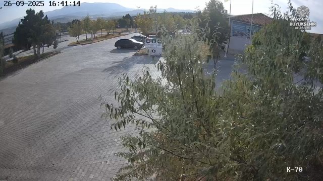 Konya Animal Shelter Daily View