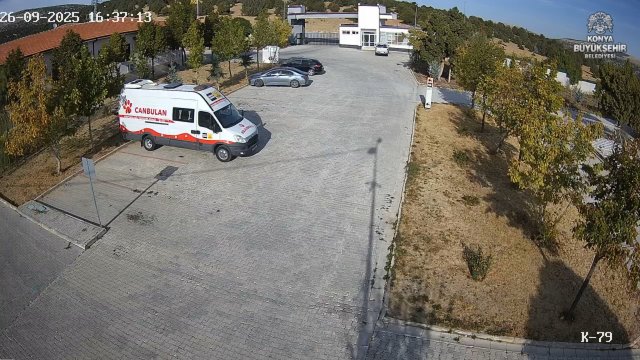 Konya Animal Shelter Scenes