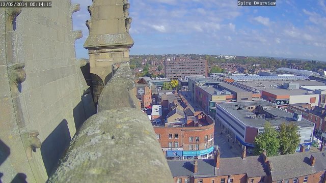 Peregrine Falcons on Wakefield Spire