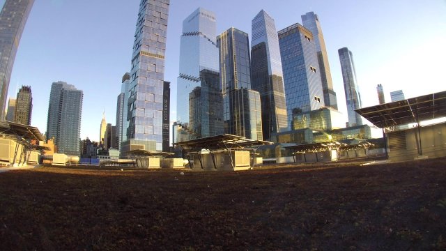 Manhattan Views from Javits Roof