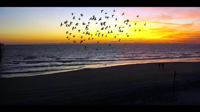 Jacksonville Beach Pier South View