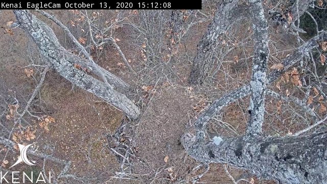 Kenai Eagle Nest Overlook Alaska