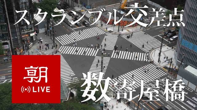 Ginza Sukiyabashi Pedestrian Crossing