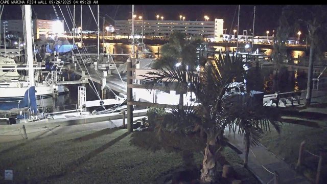 Cape Marina Fish Wall Florida