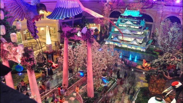 Bellagio Conservatory Gardens