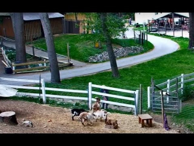 Ipswich Farmyard Rural Scenes