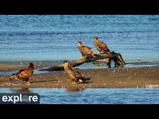 Lake Onalaska Mississippi River