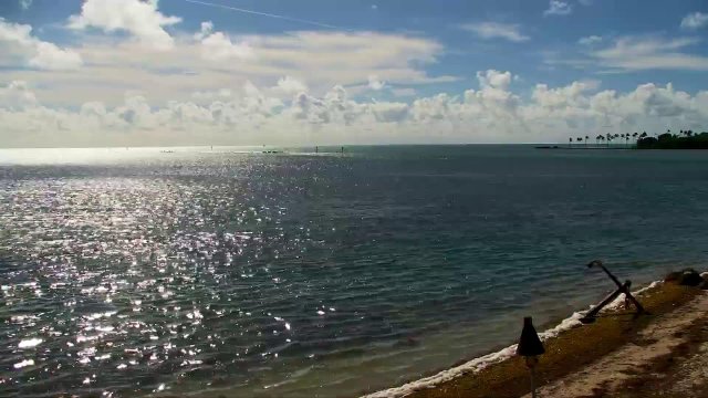 Islamorada Waterfront Dining Scene
