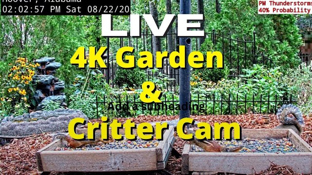 Birmingham Wildlife Feeder Garden