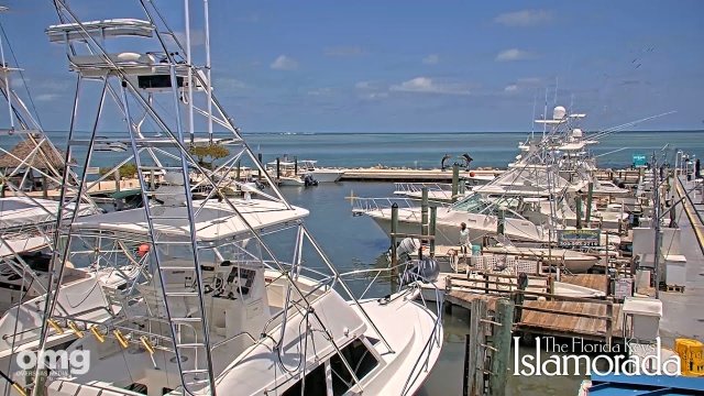Whale Harbor Marina Views