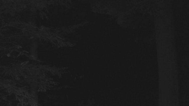 Fallingwater Cantilevered Masterpiece