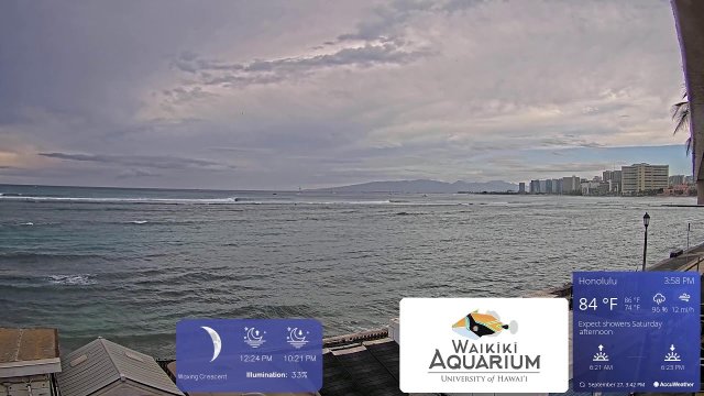 Waikiki South Shore Waves