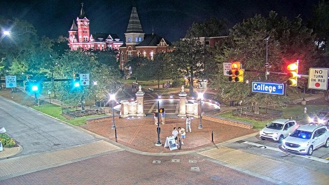 Auburn Toomer's Oaks Corner View