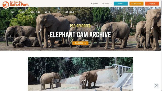 San Diego Zoo Elephant Habitat