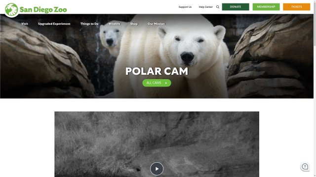 San Diego Zoo Polar Bear Habitat