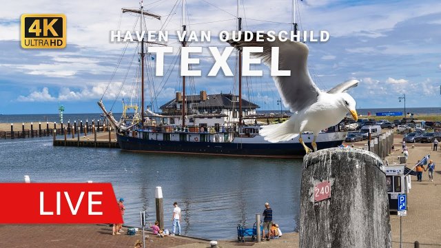 Oudeschild Fishermen's Harbor Texel