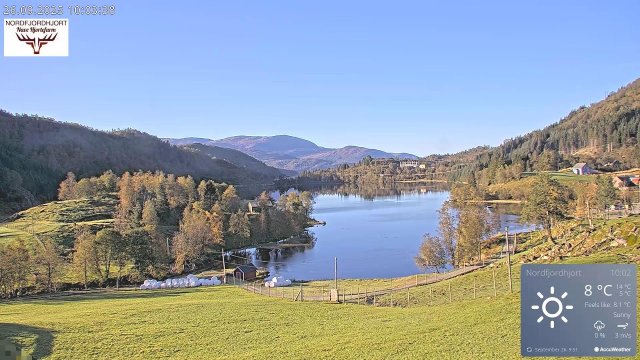 Nordfjord Deer Meadow Panorama