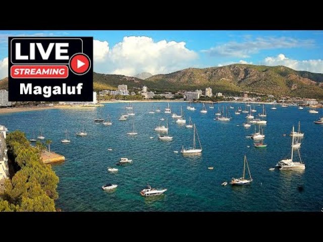Magaluf Palmanova Beach Panorama