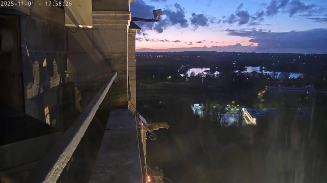 Oudenaarde Peregrine Falcon Nest