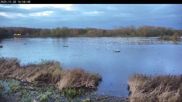 De Gavers Bird Hide Panorama