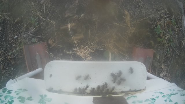 Rogosh District Plovdiv Panorama