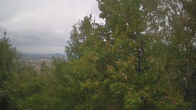 Mosomishte Village Panorama