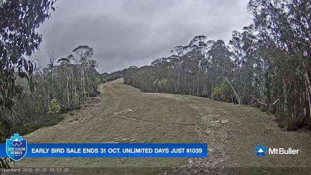 Mount Buller Alpine Ski Slopes View